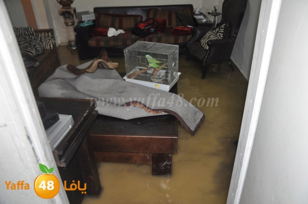 majary house nozha0408 (14).JPG